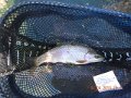 Big Spring Creek 04-05-13 001